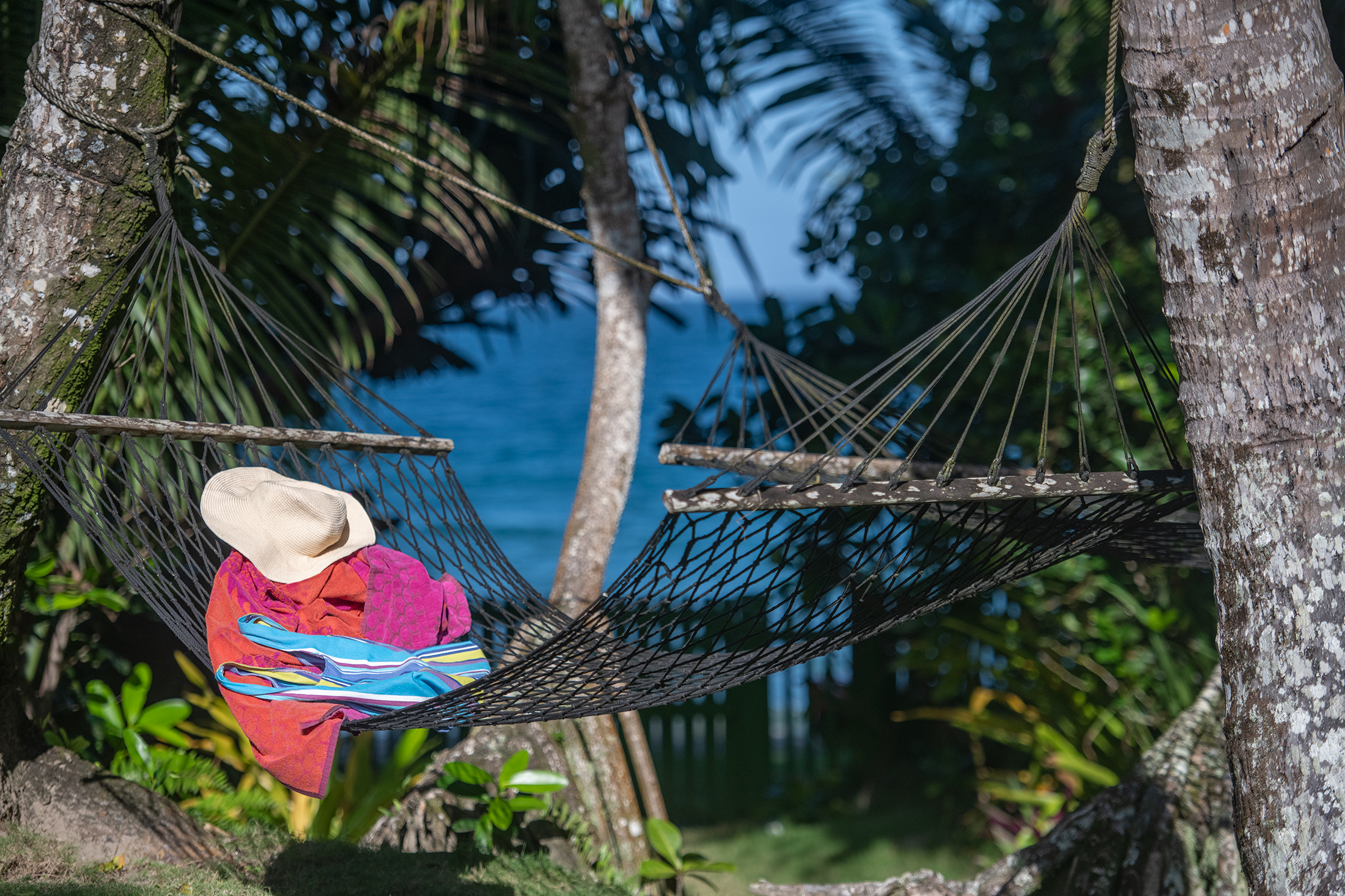 Net Hammock swing